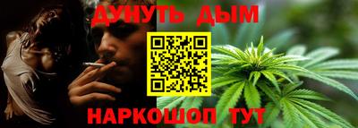 сатива Камышлов