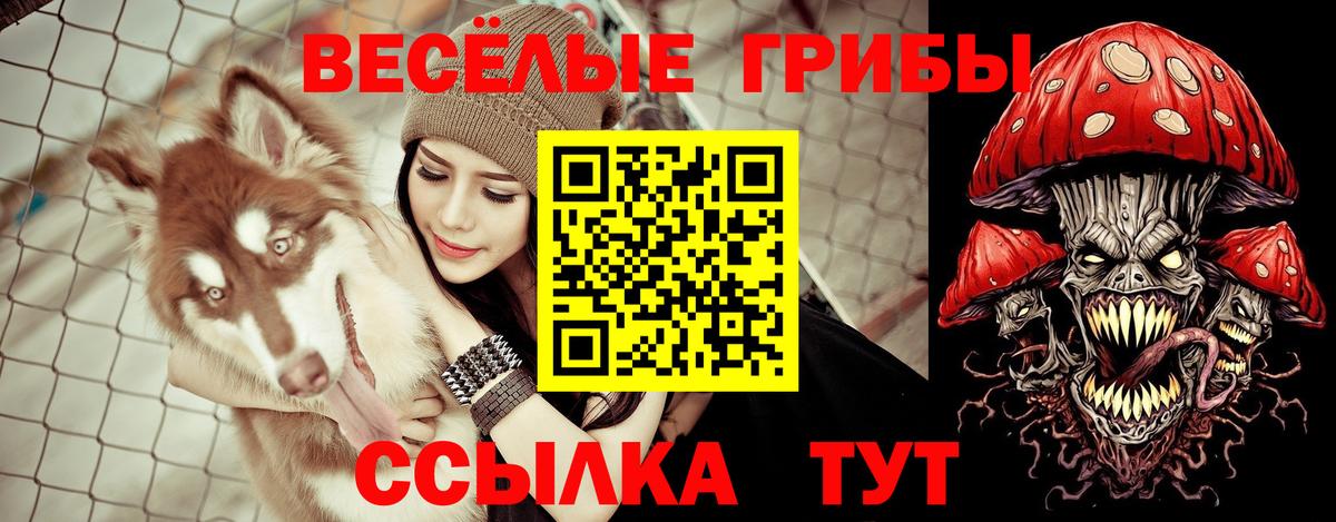 Галлюциногенные грибы Psilocybine cubensis Учалы